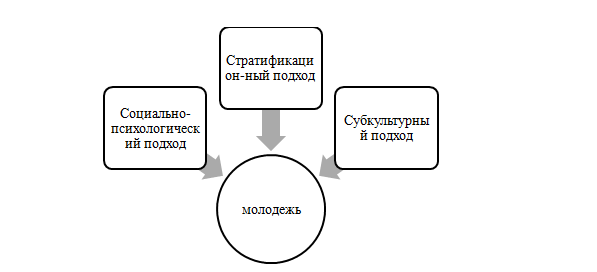Реферат Негосударственная Молодежная Политика